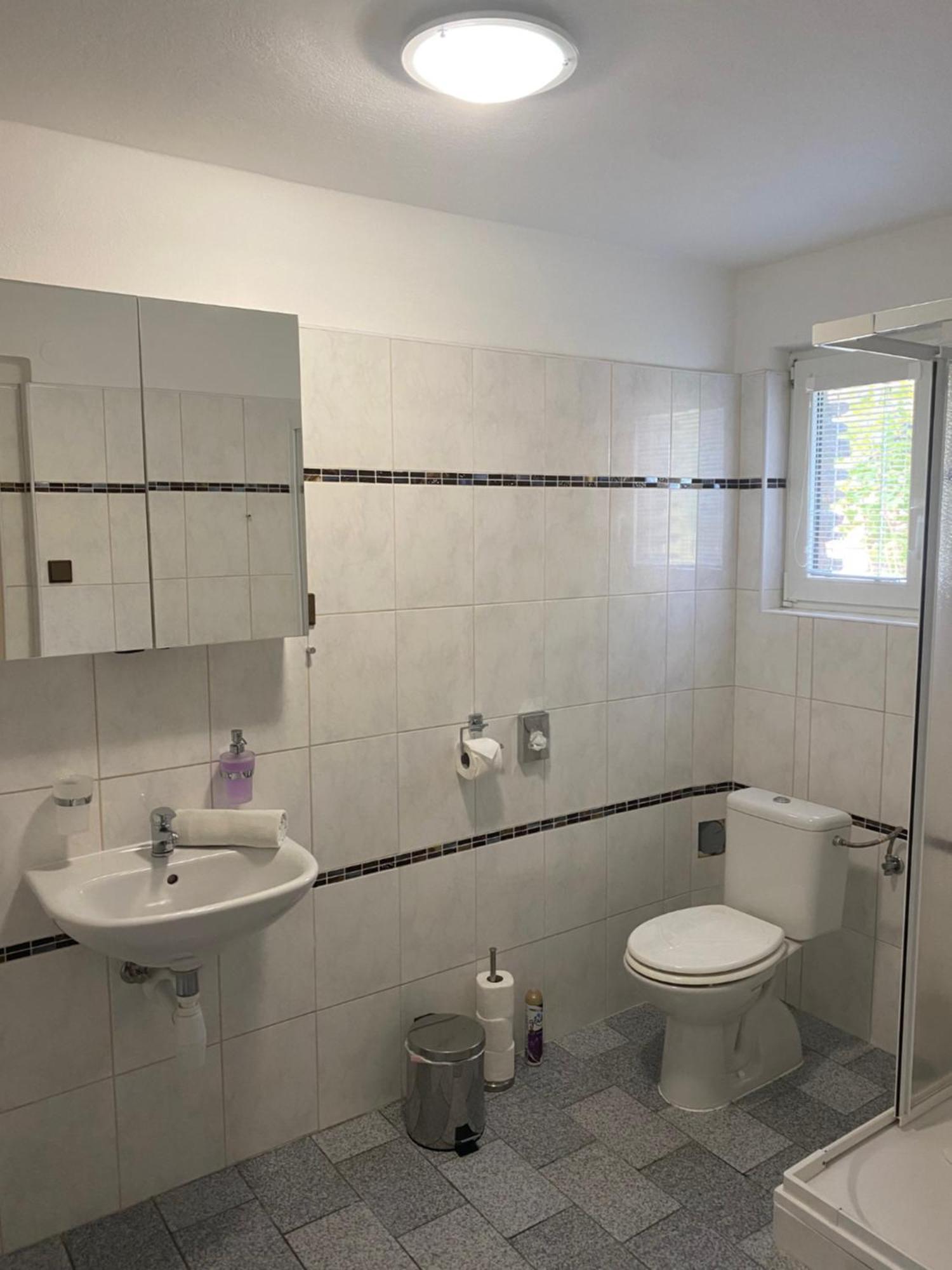 Apartmany Nad Rybnikem Железна Руда Екстер'єр фото